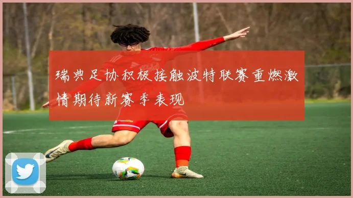 瑞典足协积极接触波特联赛重燃激情期待新赛季表现