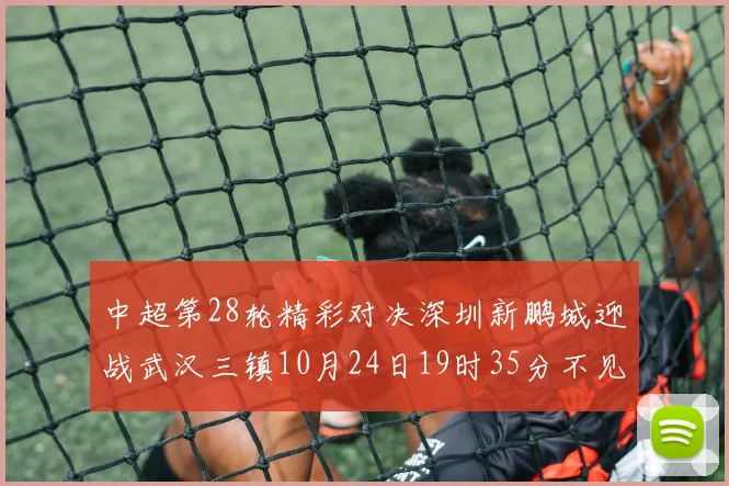 中超第28轮精彩对决深圳新鹏城迎战武汉三镇10月24日19时35分不见不散