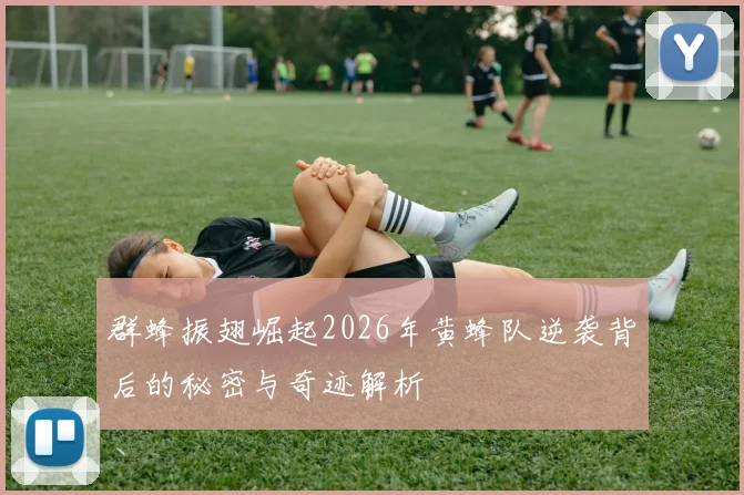 群蜂振翅崛起2026年黄蜂队逆袭背后的秘密与奇迹解析