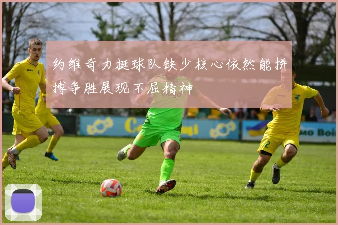 约维奇力挺球队缺少核心依然能拼搏争胜展现不屈精神