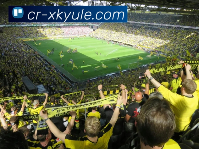 星空娱乐服务体系