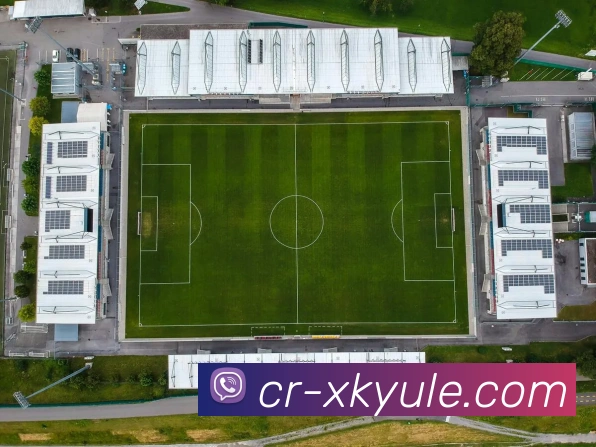 多媒体互动体验